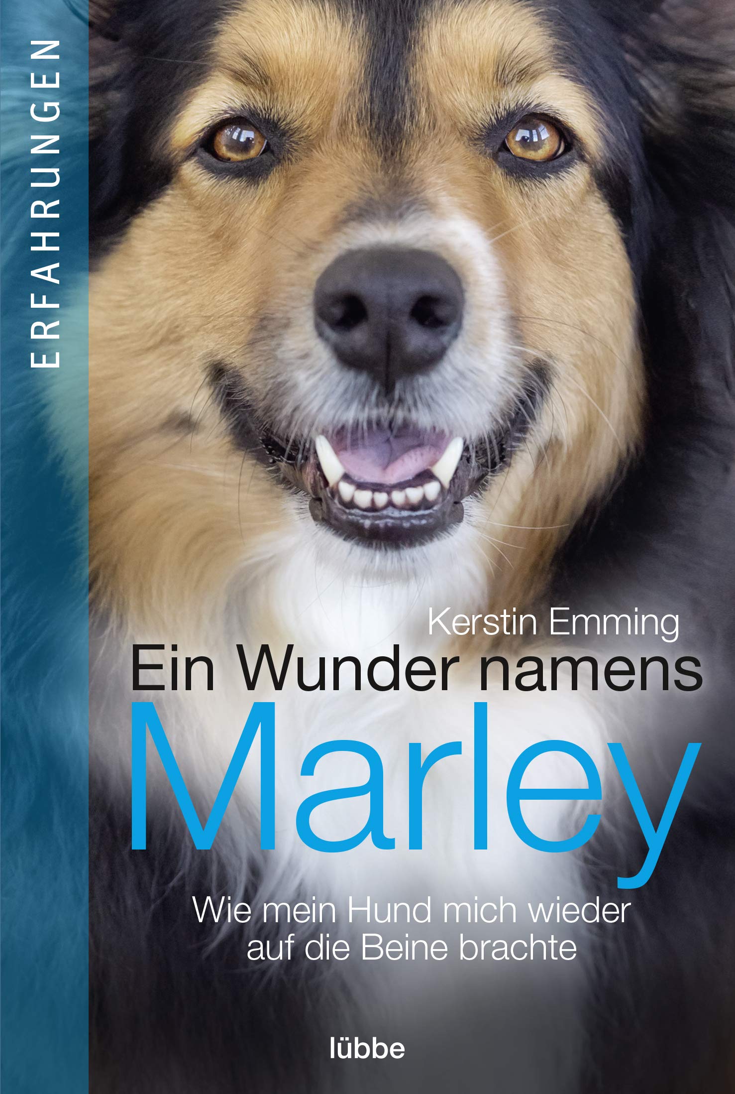 Product Image: Ein Wunder namens Marley