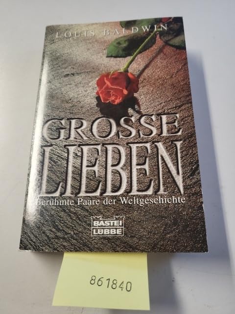 Grosse Lieben (Geschichte. Bastei Lübbe Taschenbücher) Social Sciences