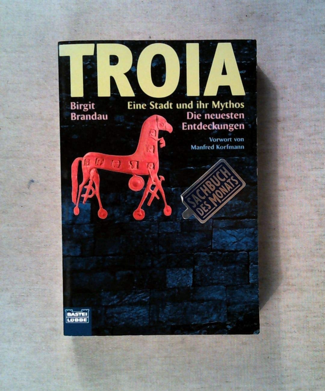 Troia - eine Stadt und ihr Mythos (Sachbuch. Bastei Lübbe Taschenbücher) Politics & History