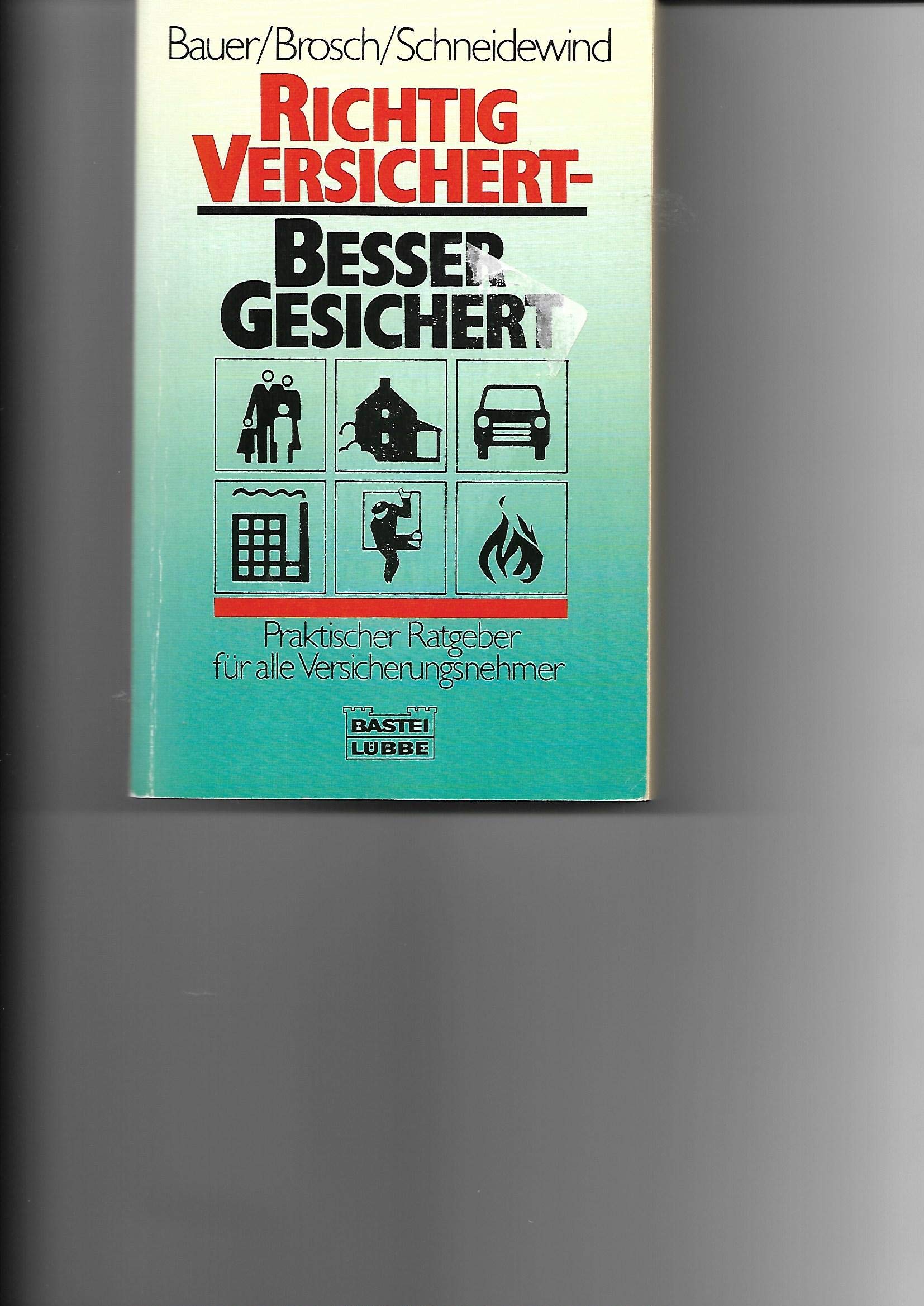 Richtig versichert - besser gesichert: Praktische Ratschläge für jeden Versicherungsnehmer (Ratgeber. Bastei Lübbe Taschenbücher) Business, Finance & Career