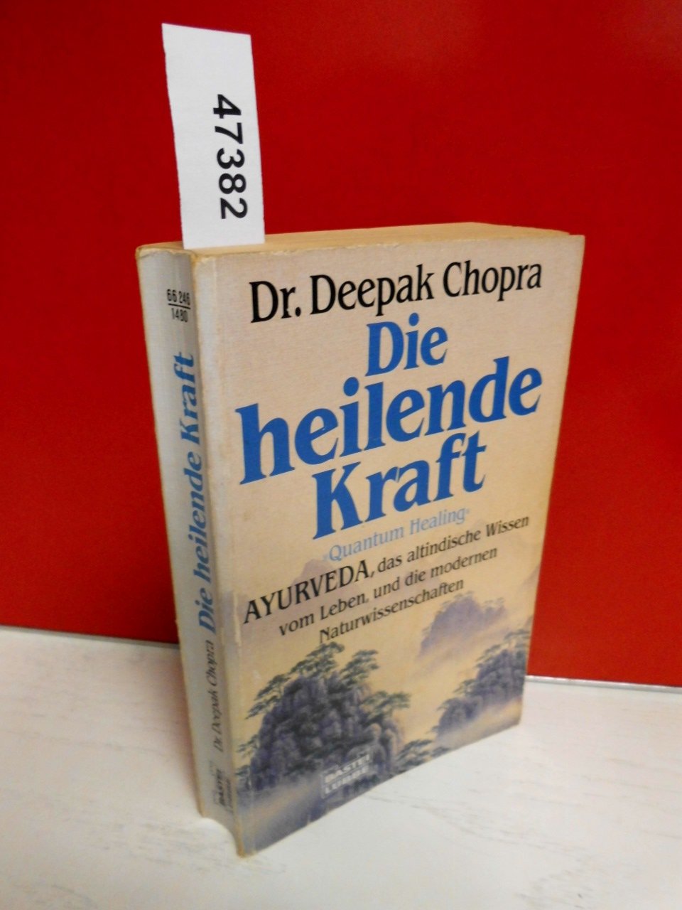 Die heilende Kraft (Ratgeber. Bastei Lübbe Taschenbücher) Lifestyle