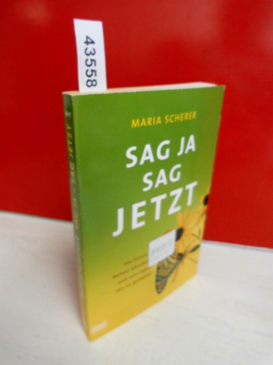 Sag ja - sag jetzt: Die Kunst, Ballast abzuwerfen und sein Leben neu z (Ratgeber. Bastei Lübbe Taschenbücher) Lifestyle