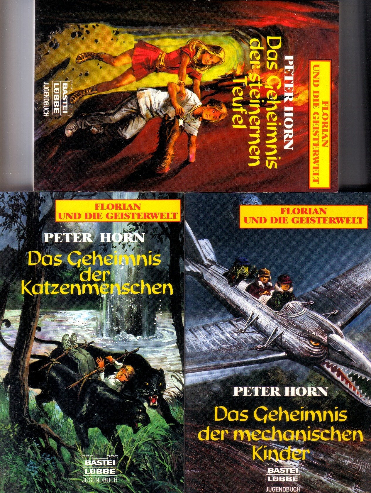 Florian und die Geisterwelt - Das Geheimnis der steinernen Teufel Books