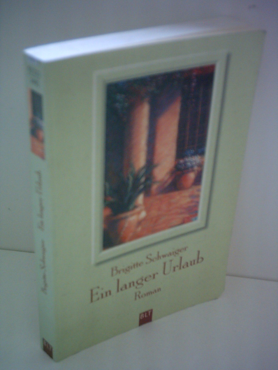 Ein langer Urlaub (BLT. Bastei Lübbe Taschenbücher) Contemporary literature