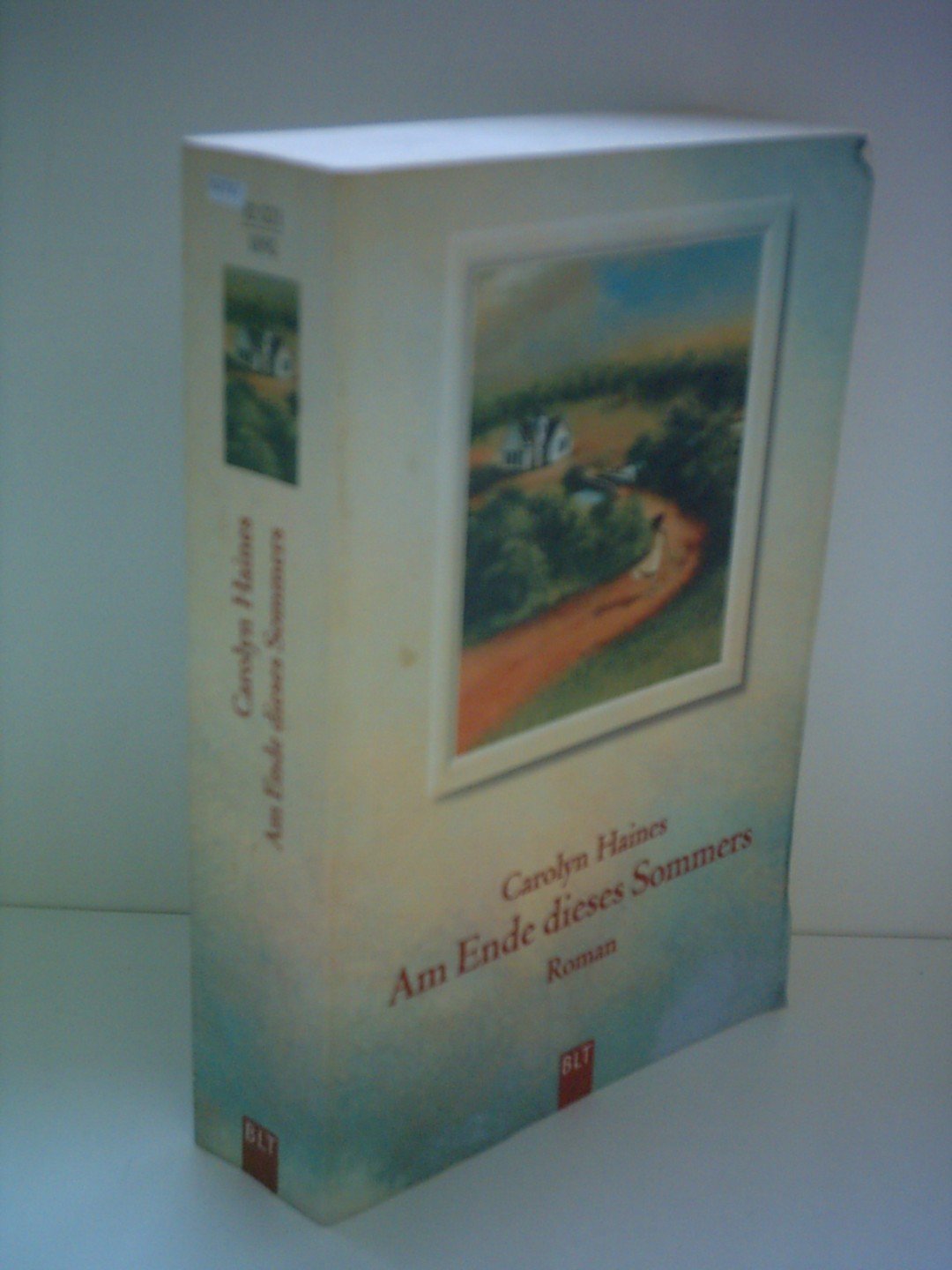 Am Ende dieses Sommers (BLT. Bastei Lübbe Taschenbücher) Contemporary literature