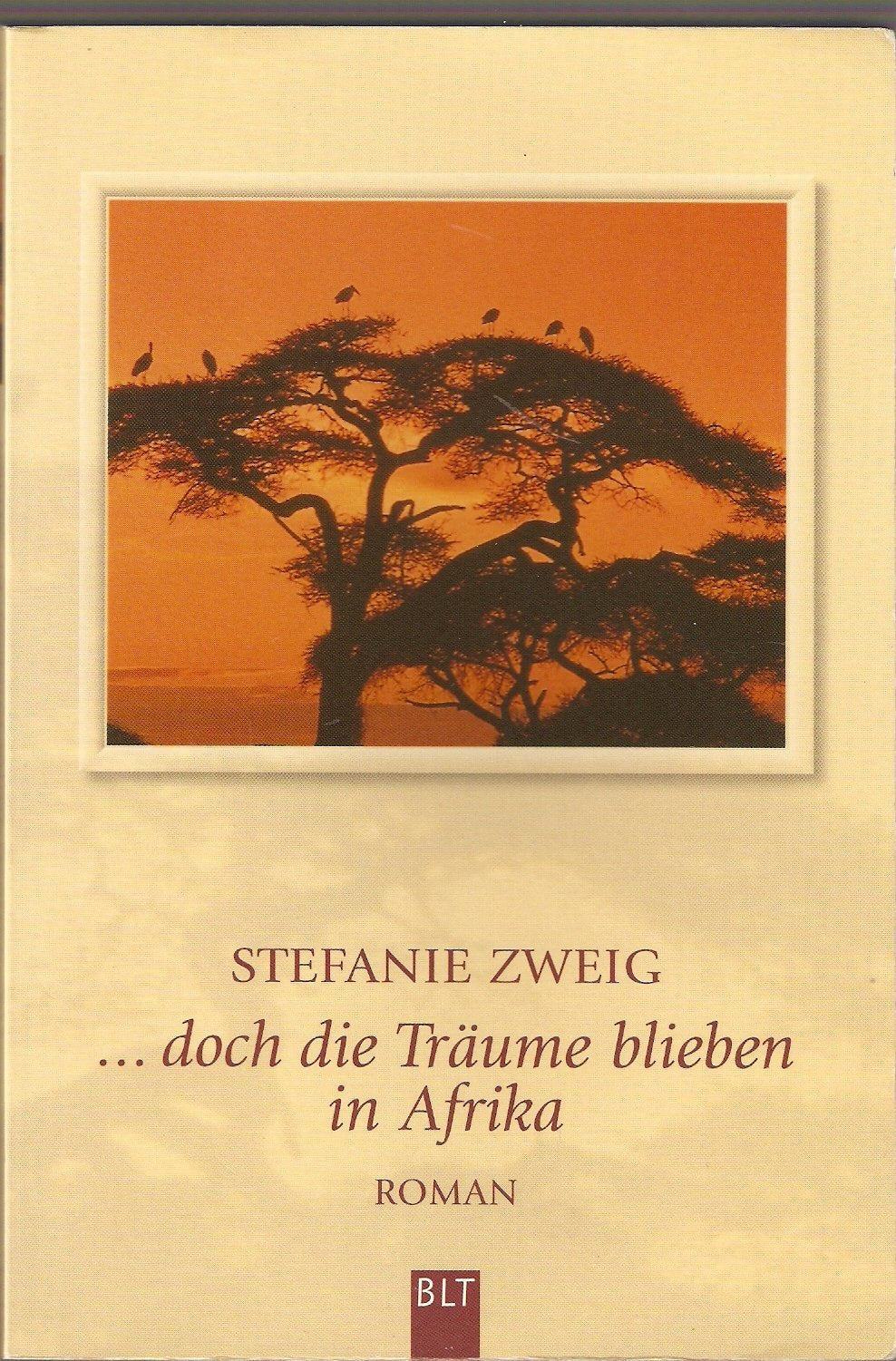 Doch die Träume blieben in Afrika Contemporary literature