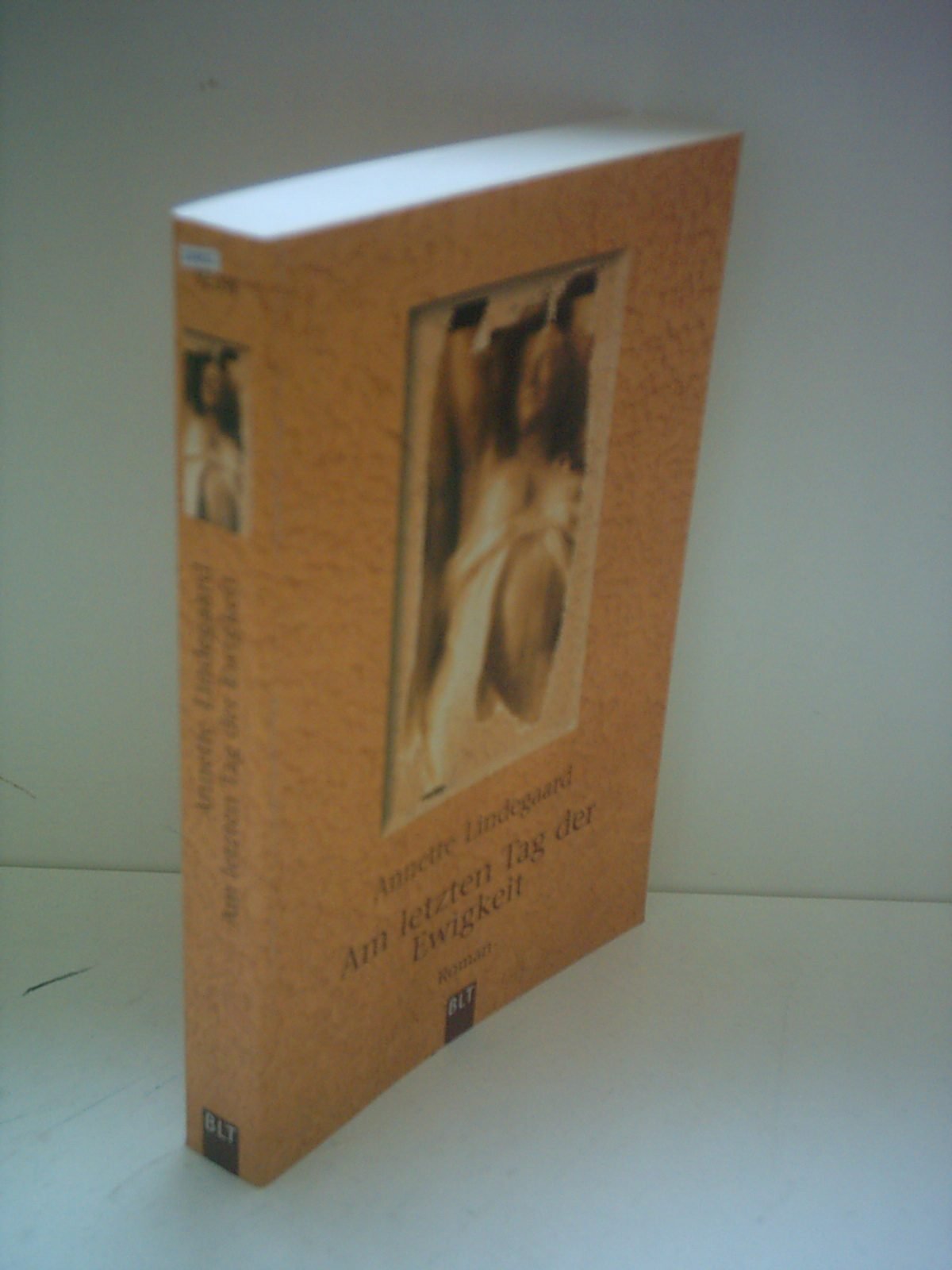 Am letzten Tag der Ewigkeit (BLT. Bastei Lübbe Taschenbücher) Books