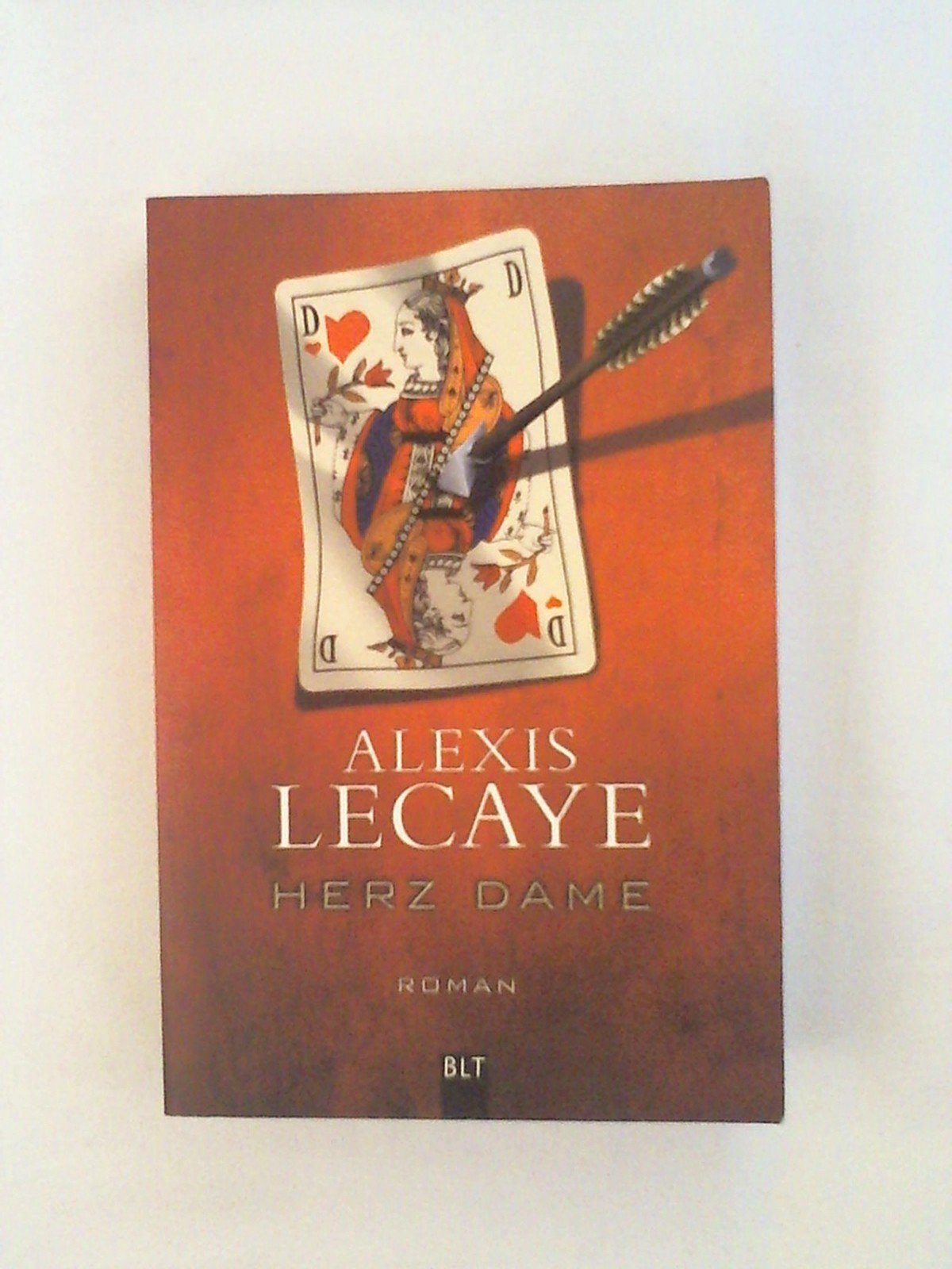 Herz Dame: Roman (BLT. Bastei Lübbe Taschenbücher) Contemporary literature