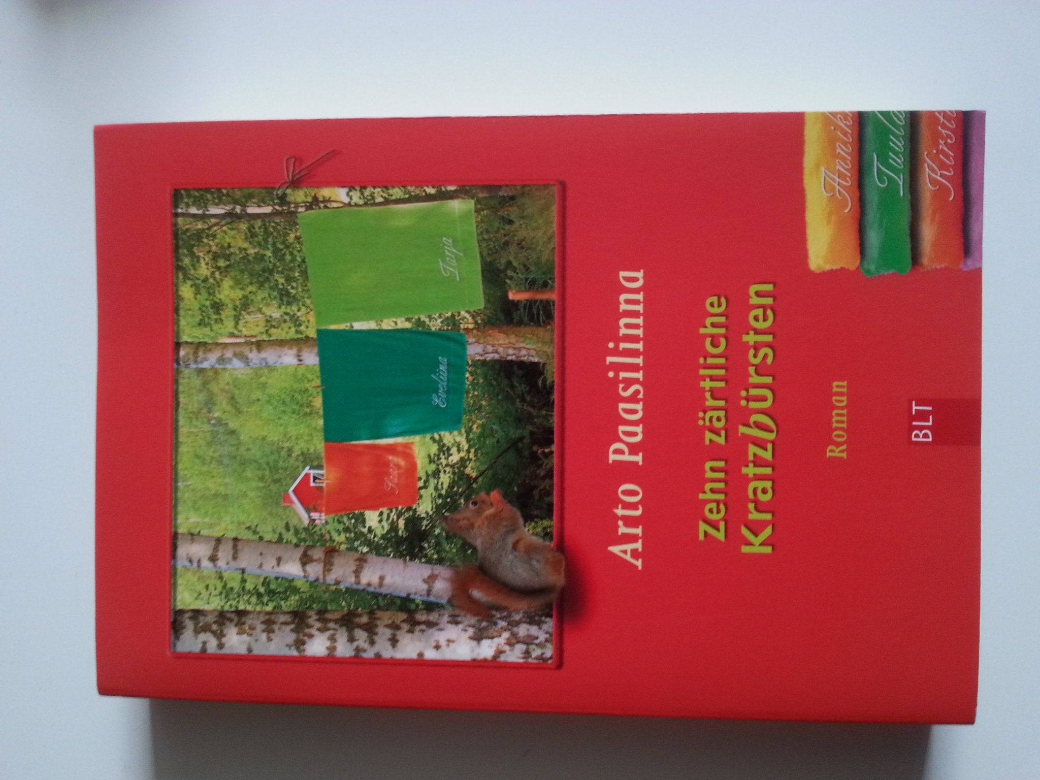 Zehn zärtliche Kratzbürsten: Roman (BLT. Bastei Lübbe Taschenbücher) Contemporary literature