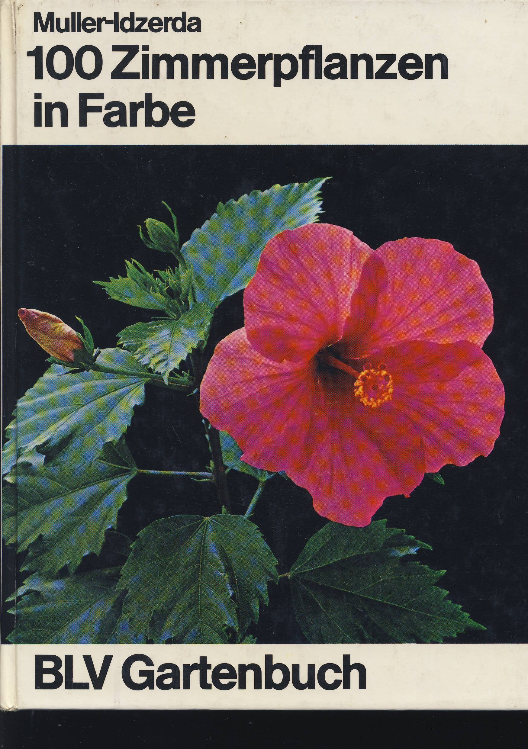 Hundert Zimmerpflanzen in Farbe. Mit praktischen Angaben für Pflege und Vermehrung Books