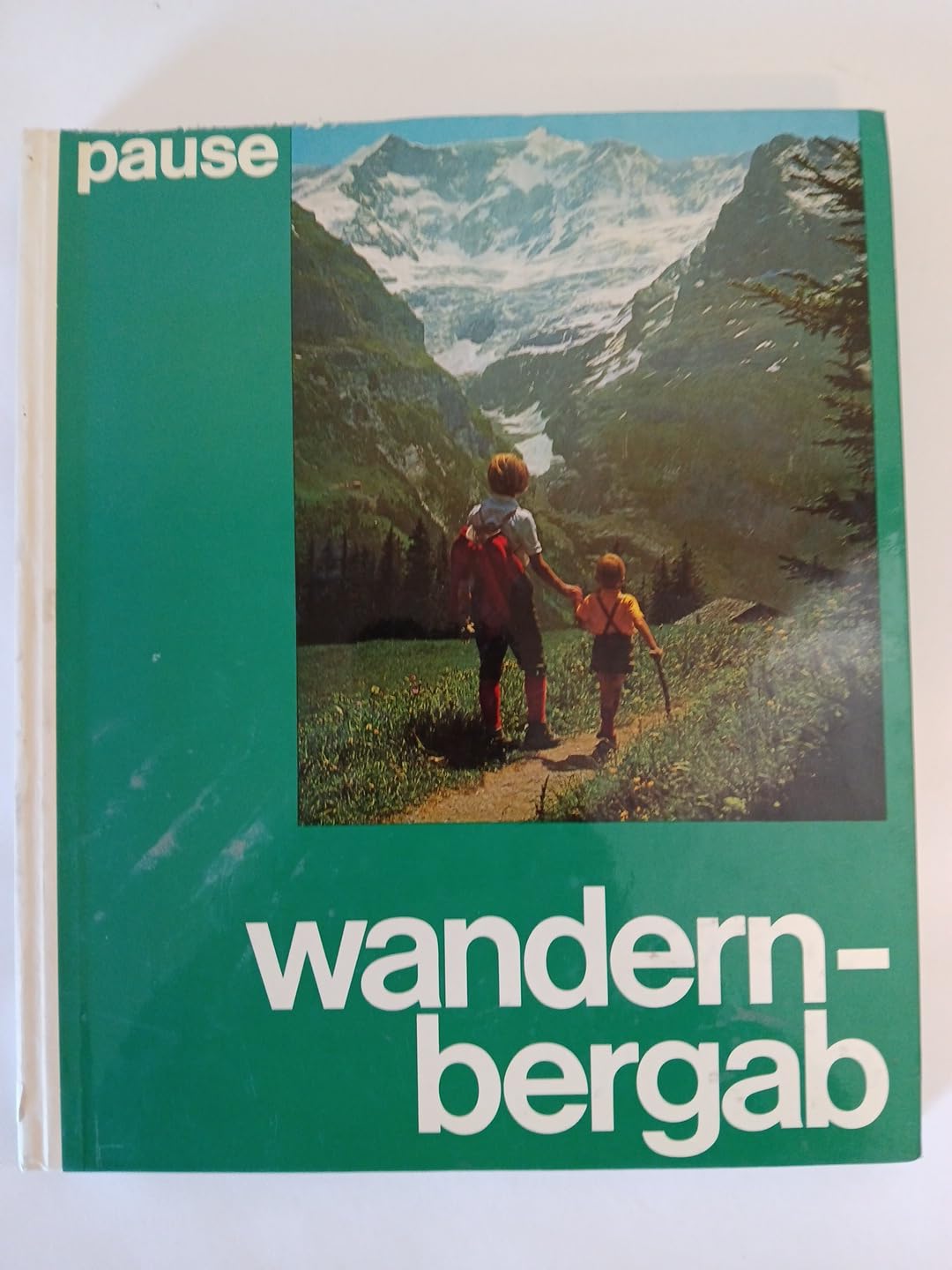 Wandern bergab. 100 schöne Abstiegswege in den Alpen. Books