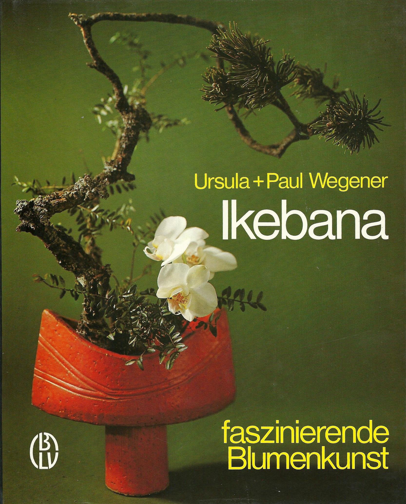 Ikebana, faszinierende Blumenkunst Film, Art & Culture