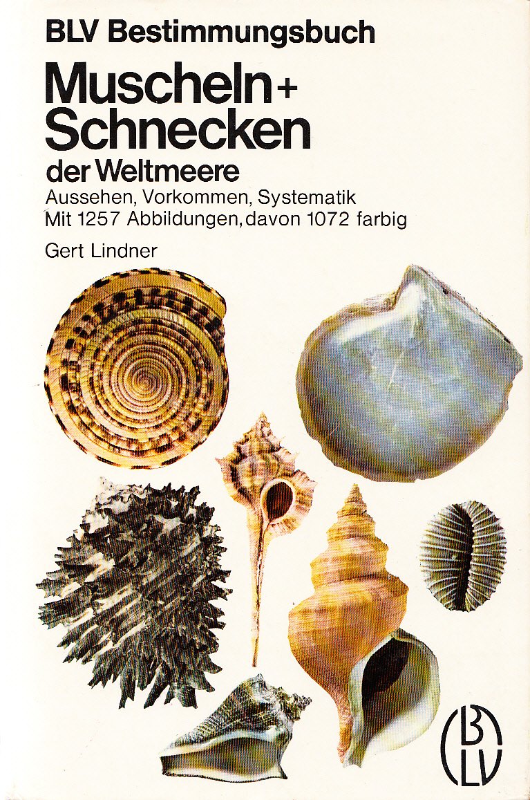Muscheln + Schnecken der Weltmeere: Aussehen, Vorkommen, Systematik Natural Sciences