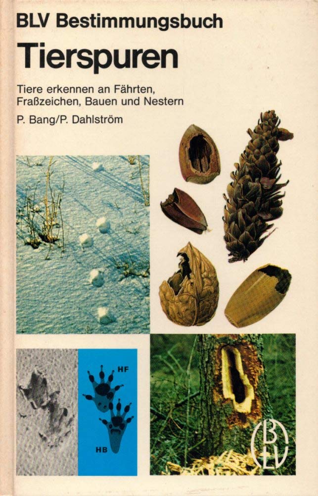 BLV Bestimmbuch Tierspuren - Tiere erkennen an Fährten, Fraßeichen, Bauen und Nestern Books