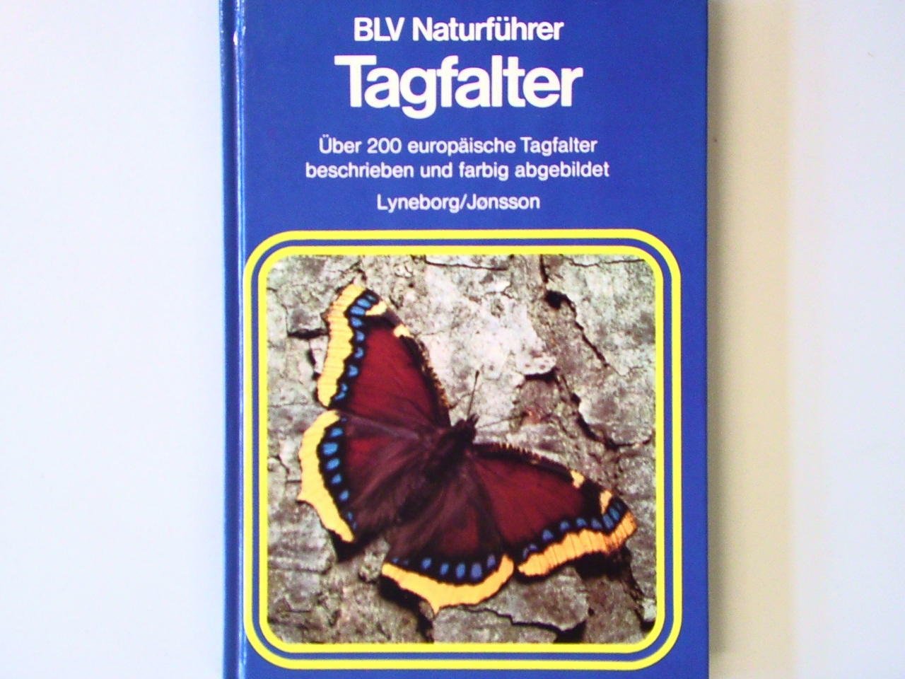 Tagfalter Business & Technology