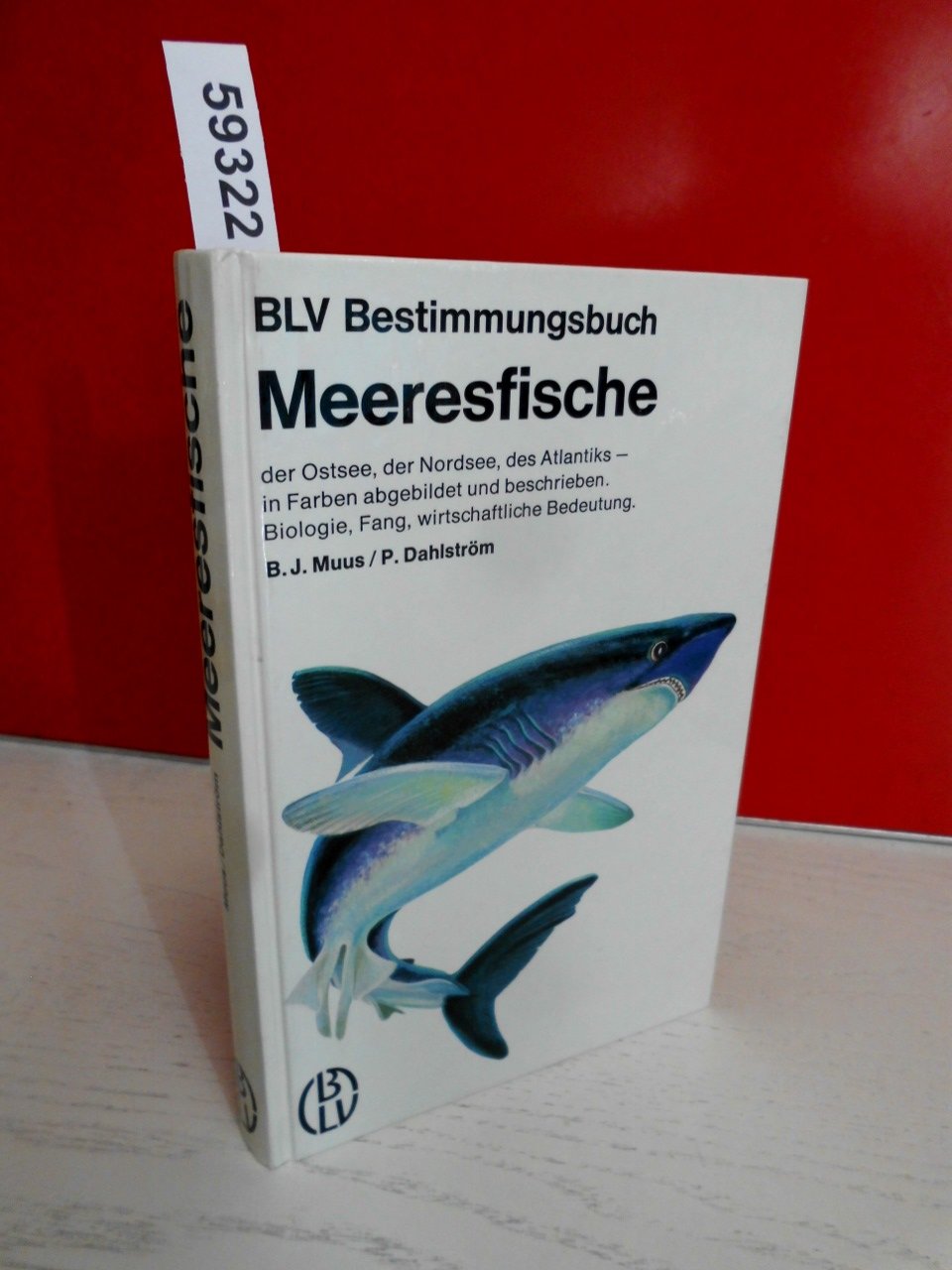 Meeresfische der Ostsee, der Nordsee, des Atlantiks Pets