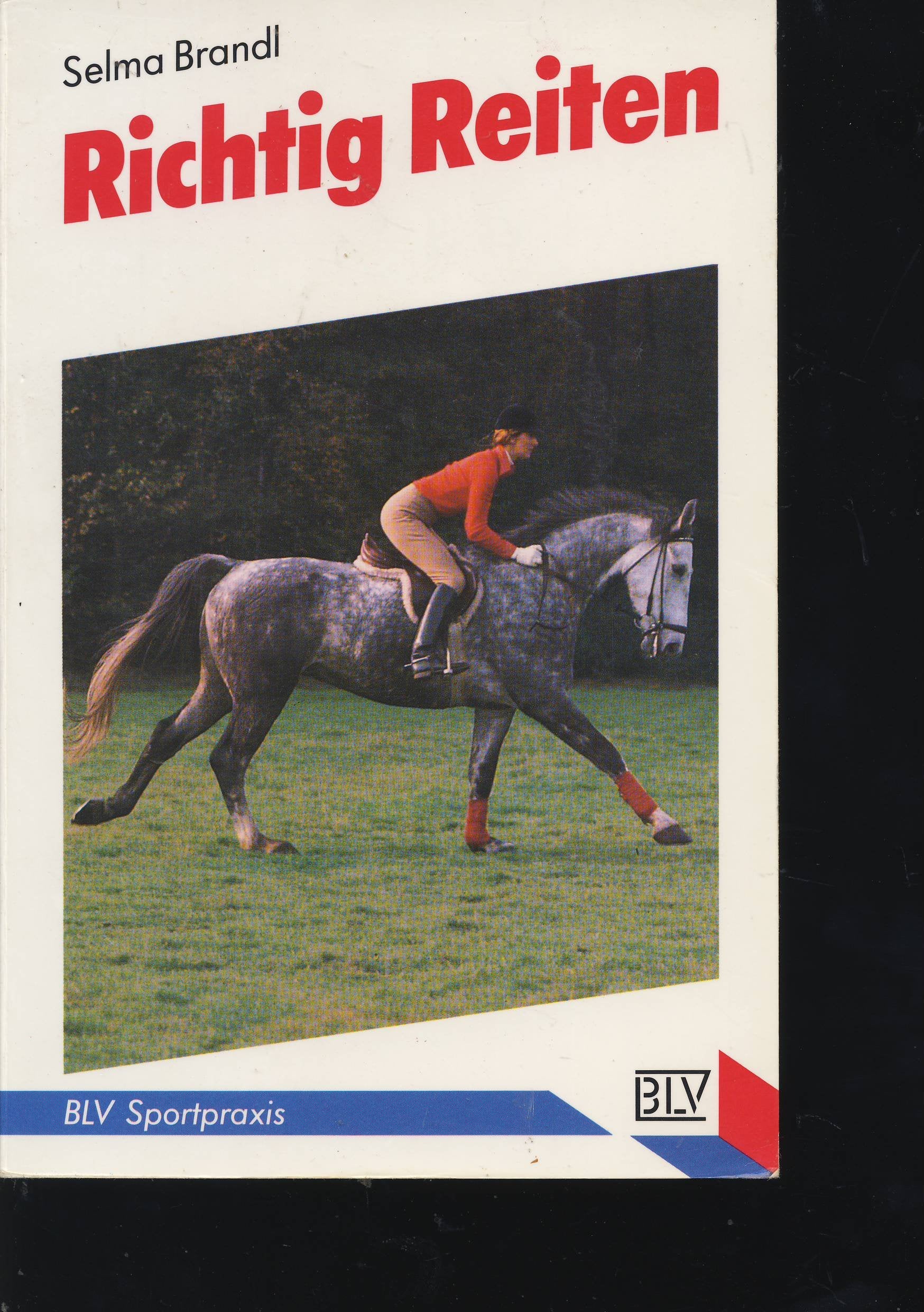 richtig reiten. (7078 196) Pets