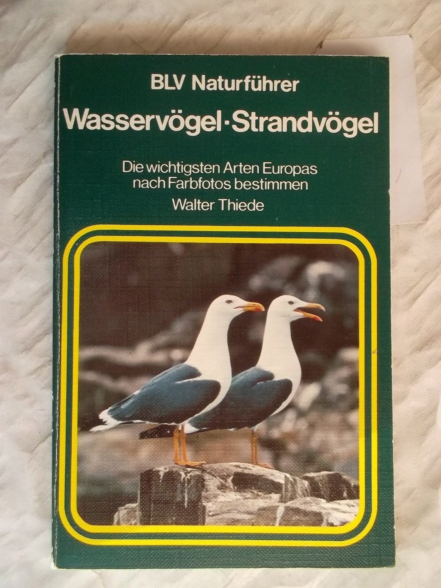 Wasservögel, Strandvögel: die wichtigsten Arten Europas nach Farbfotos bestimmen Pets
