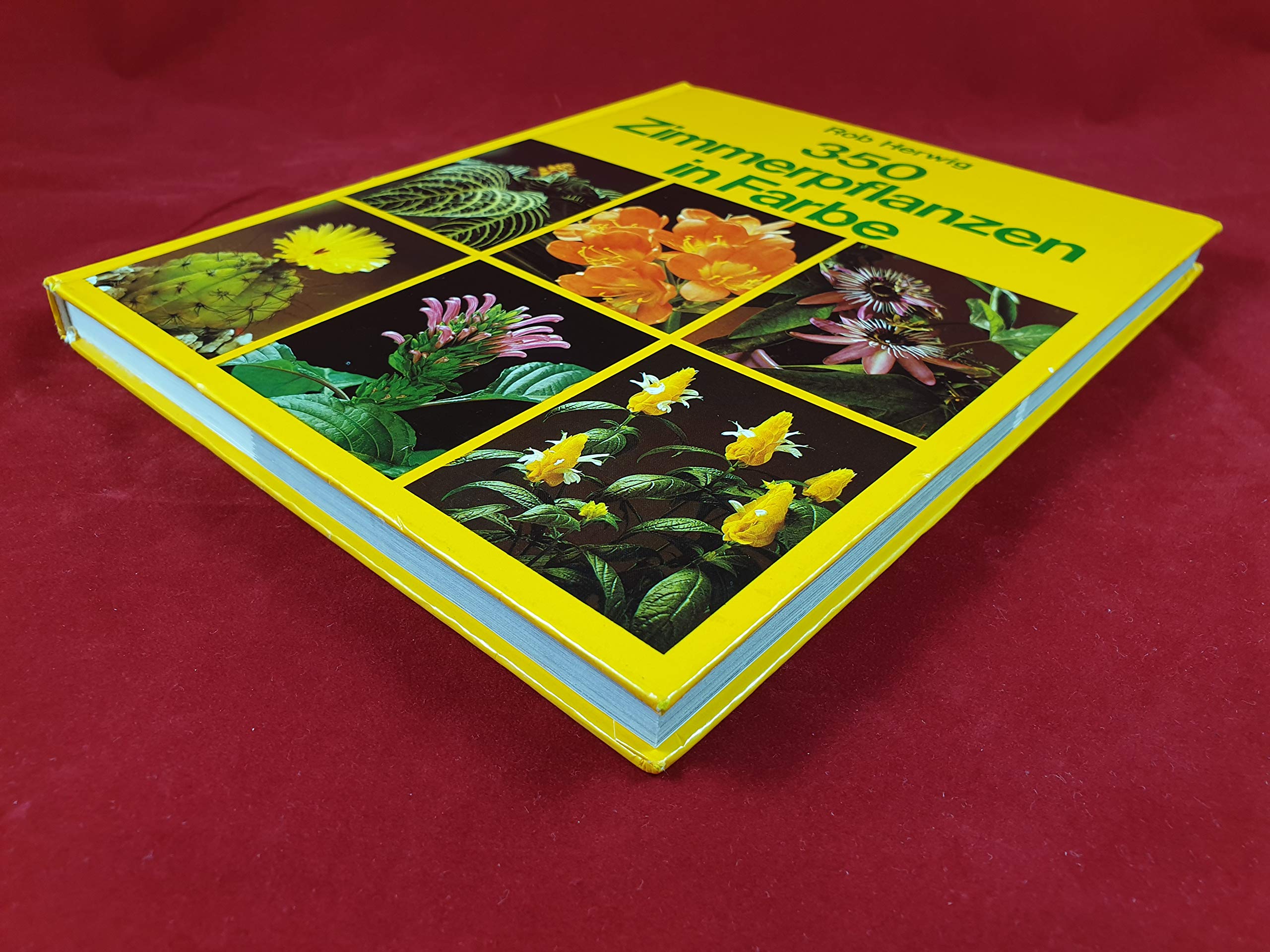 350 Zimmerpflanzen in Farbe Garden & Plants Books