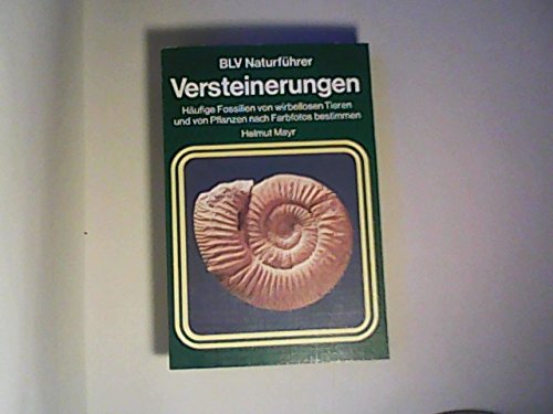 Product Image: Versteinerungen (6543 570)