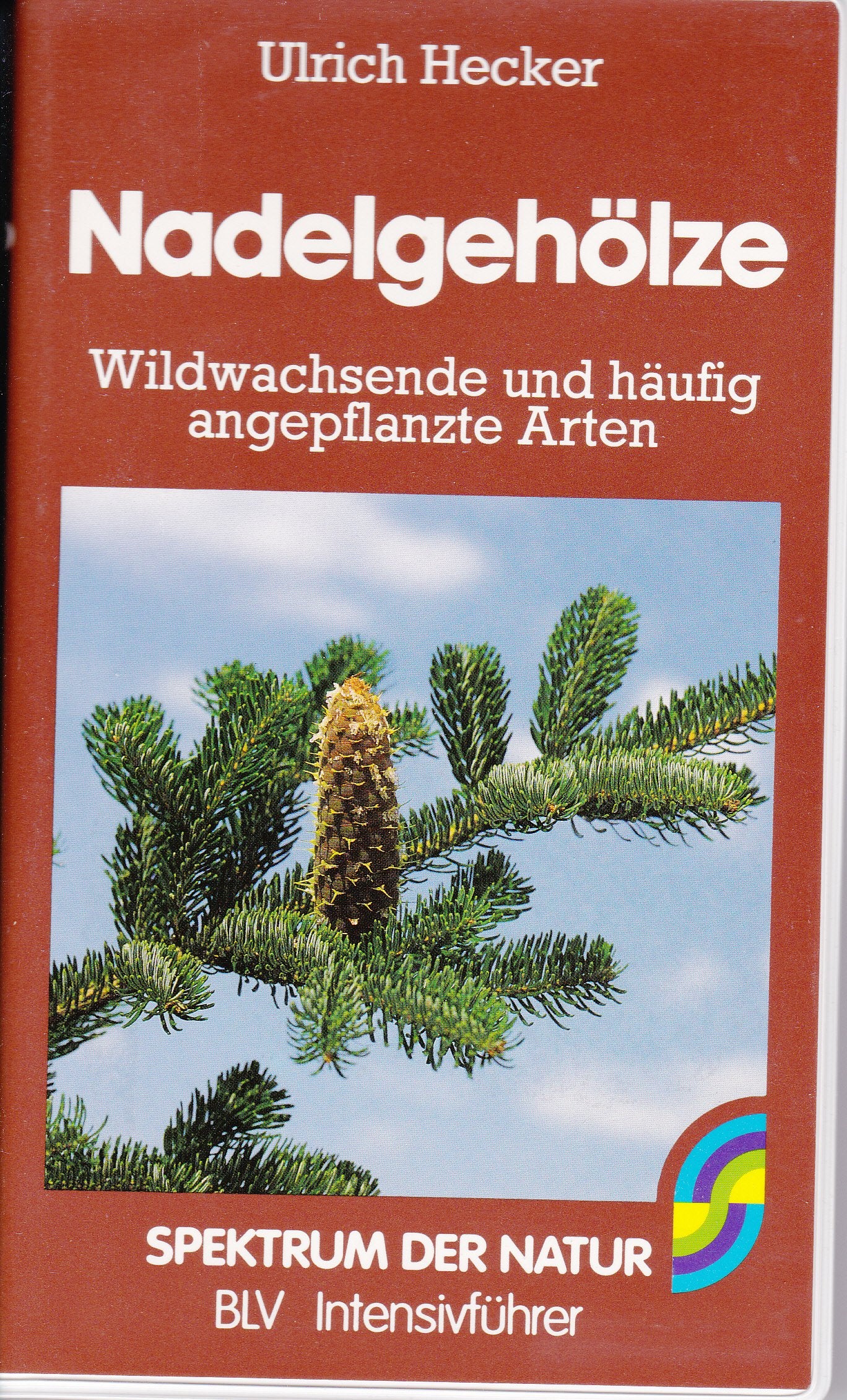 Nadelgehölze. Wildwachsende und häufig angepflanzte Arten Natural Sciences