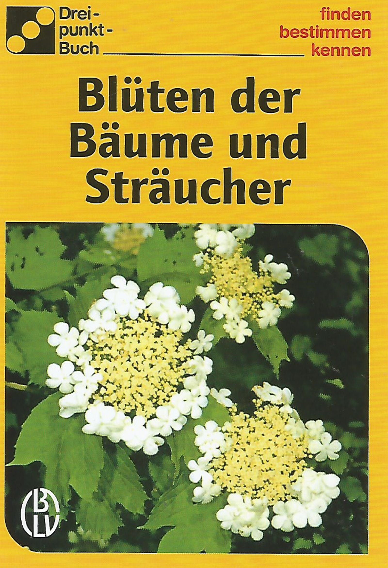 Blüten der Bäume und Sträucher Movies