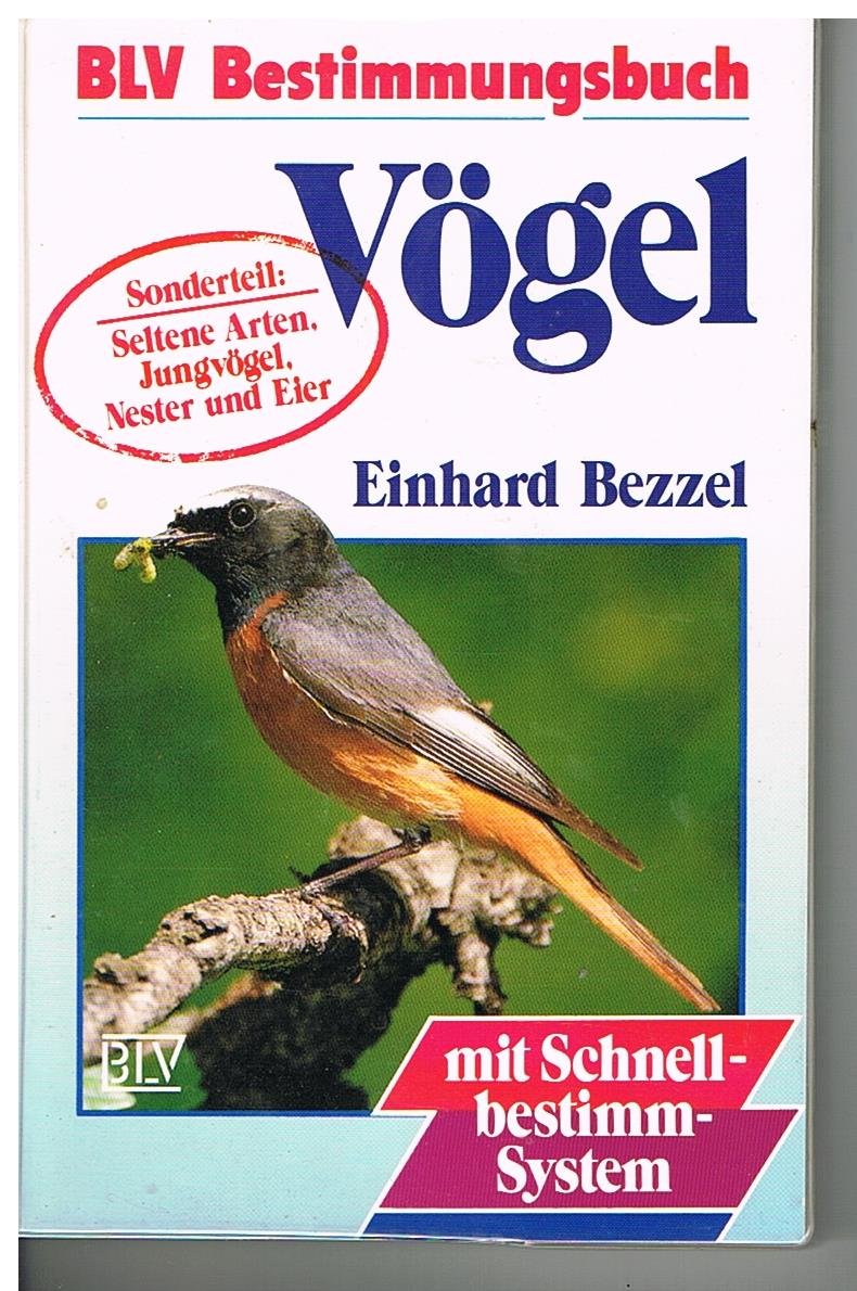 Vögel Natural Sciences