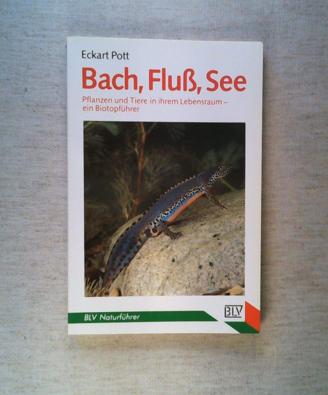 Bach, Fluß, See Garden & Plants Books
