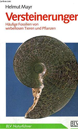 Versteinerungen. Häufige Fossilien von wirbellosen Tieren und Pflanzen Pets