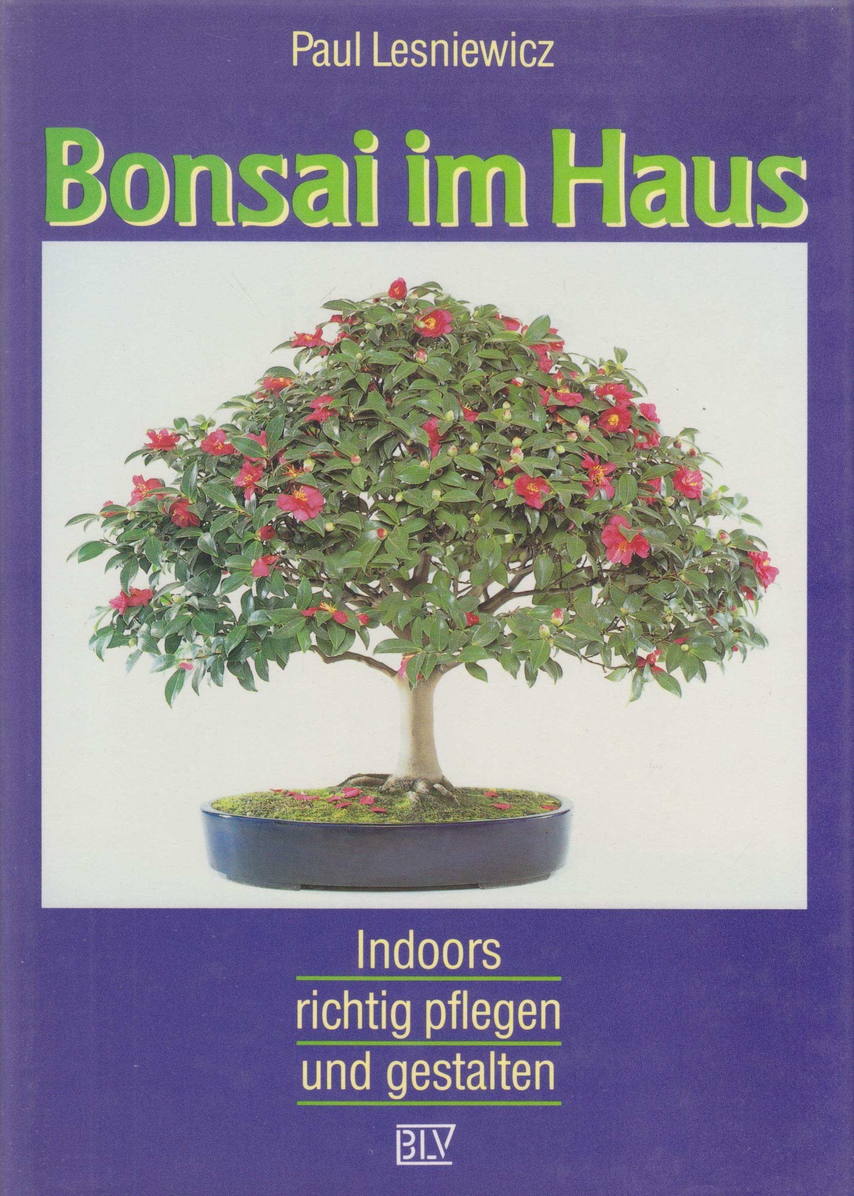 Product Image: Bonsai im Haus