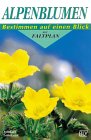 Alpenblumen Garden & Plants