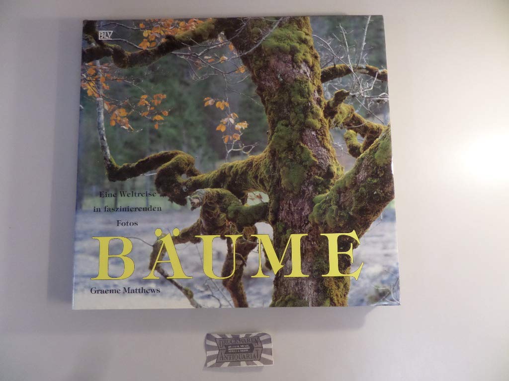 Bäume Photography