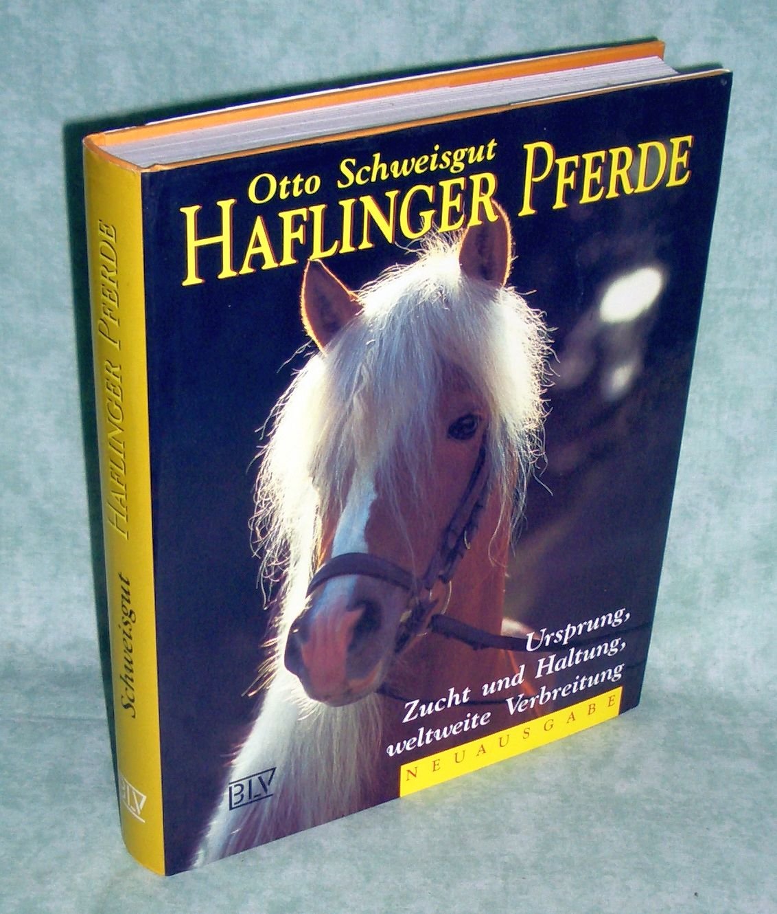 Haflinger Pferde Film, Art & Culture