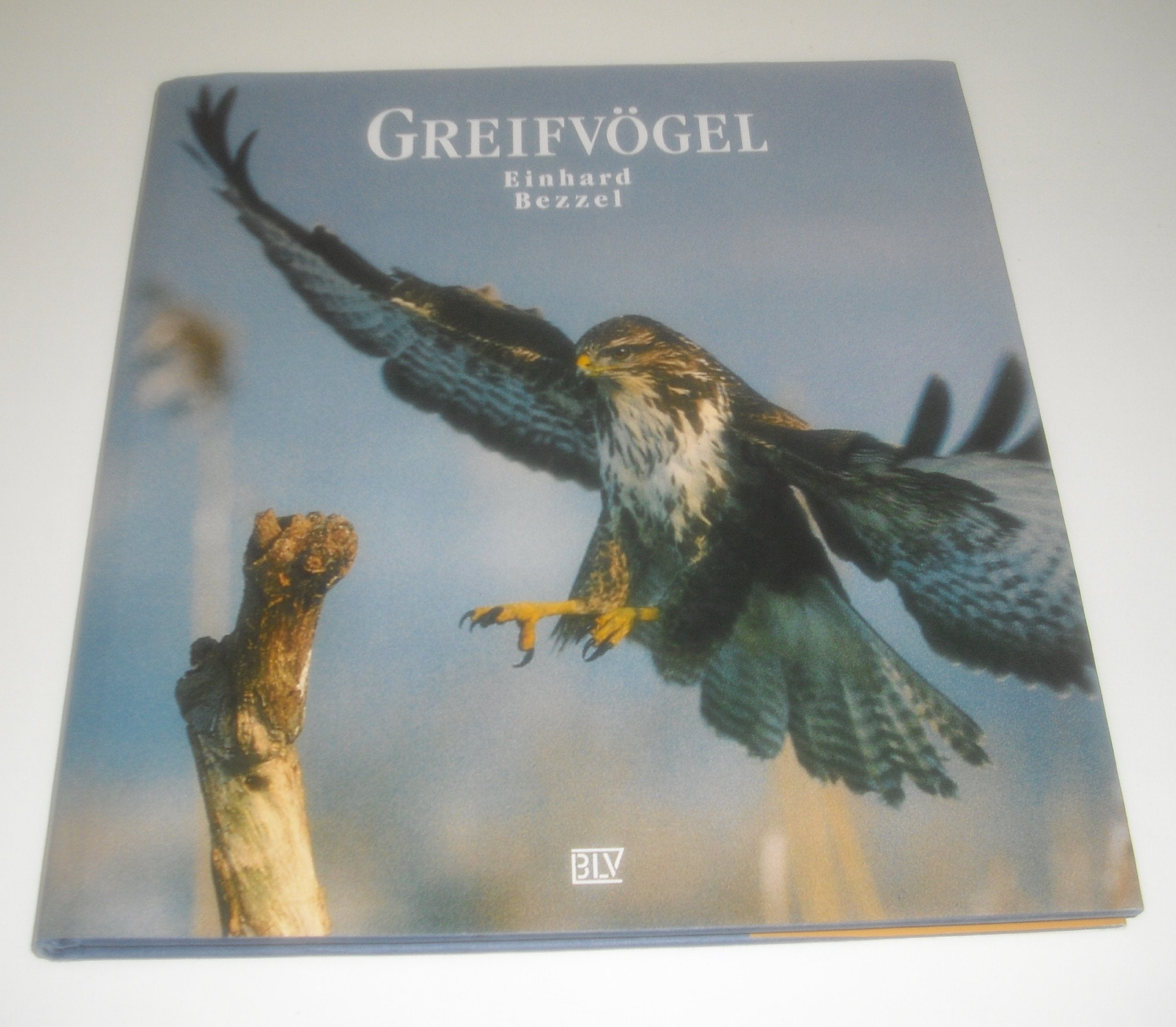 Greifvögel Film, Art & Culture