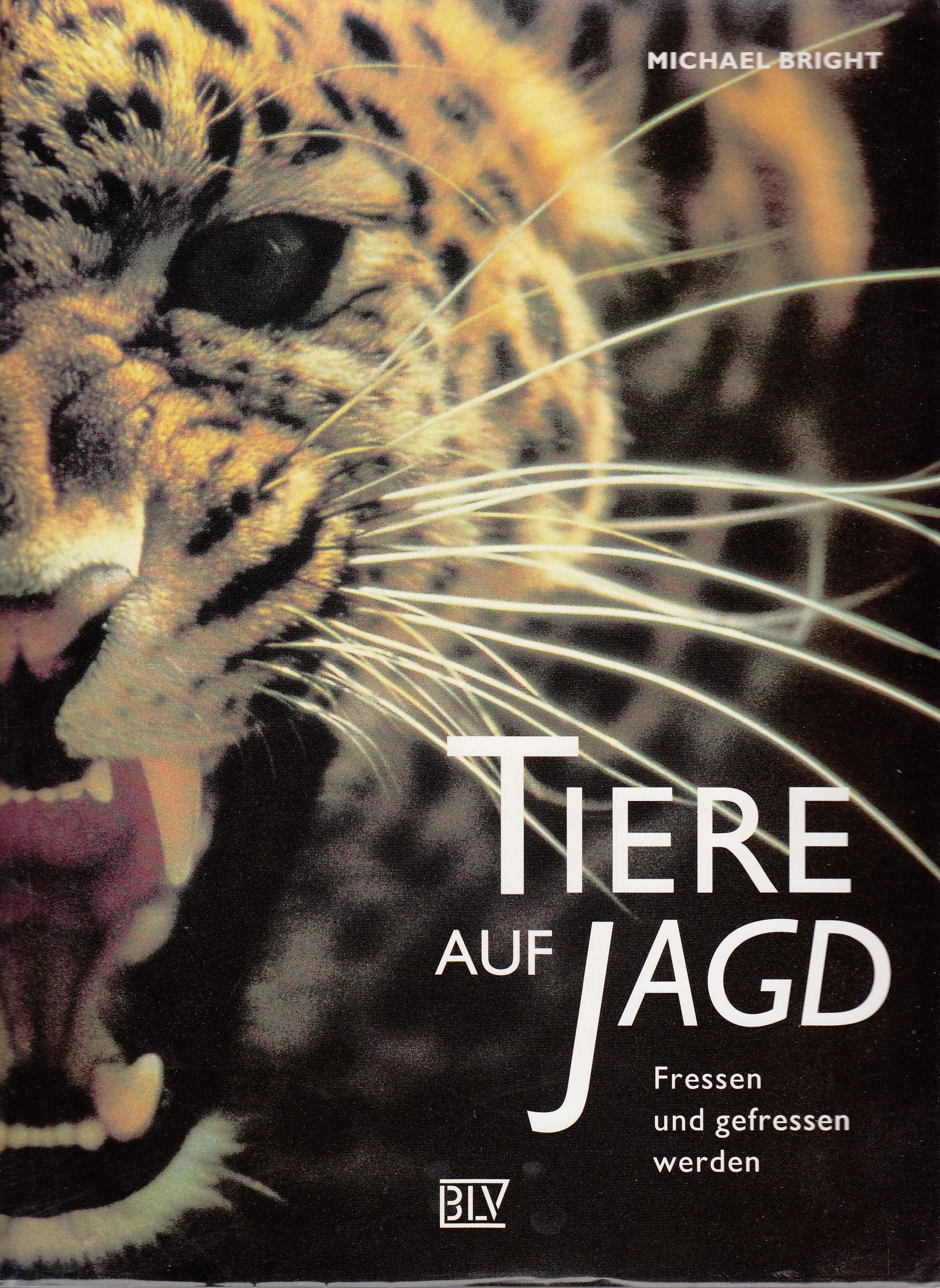 Tiere auf Jagd: Fressen und gefressen werden Film, Art & Culture