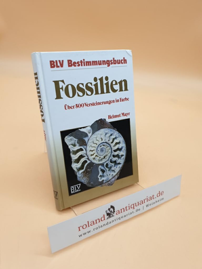 Fossilien Business & Technology Books