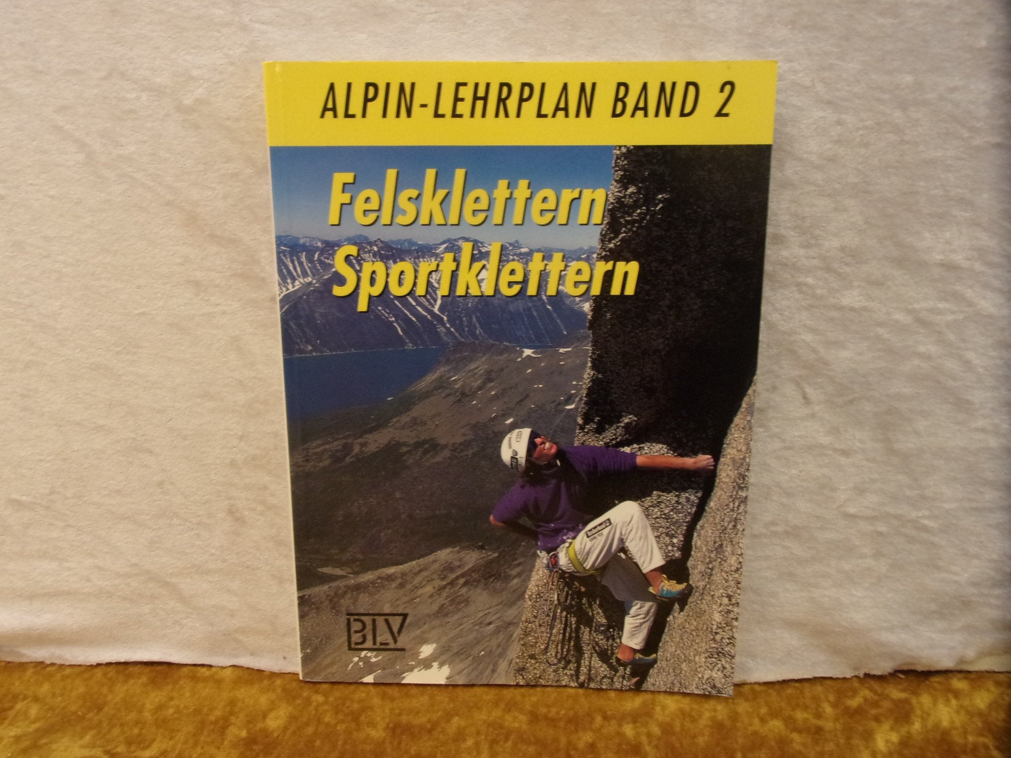 Alpin-Lehrplan, Neuausg., Bd.2, Felsklettern, Sportklettern Politics & Society