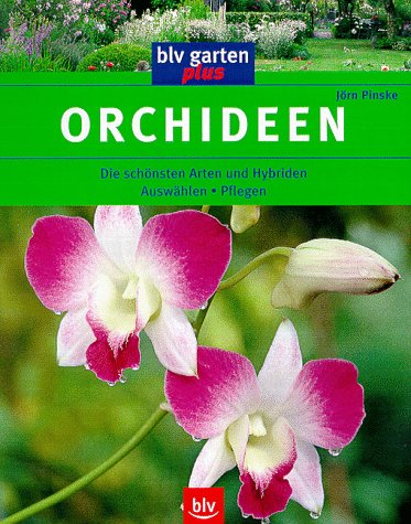 Product Image: Orchideen
