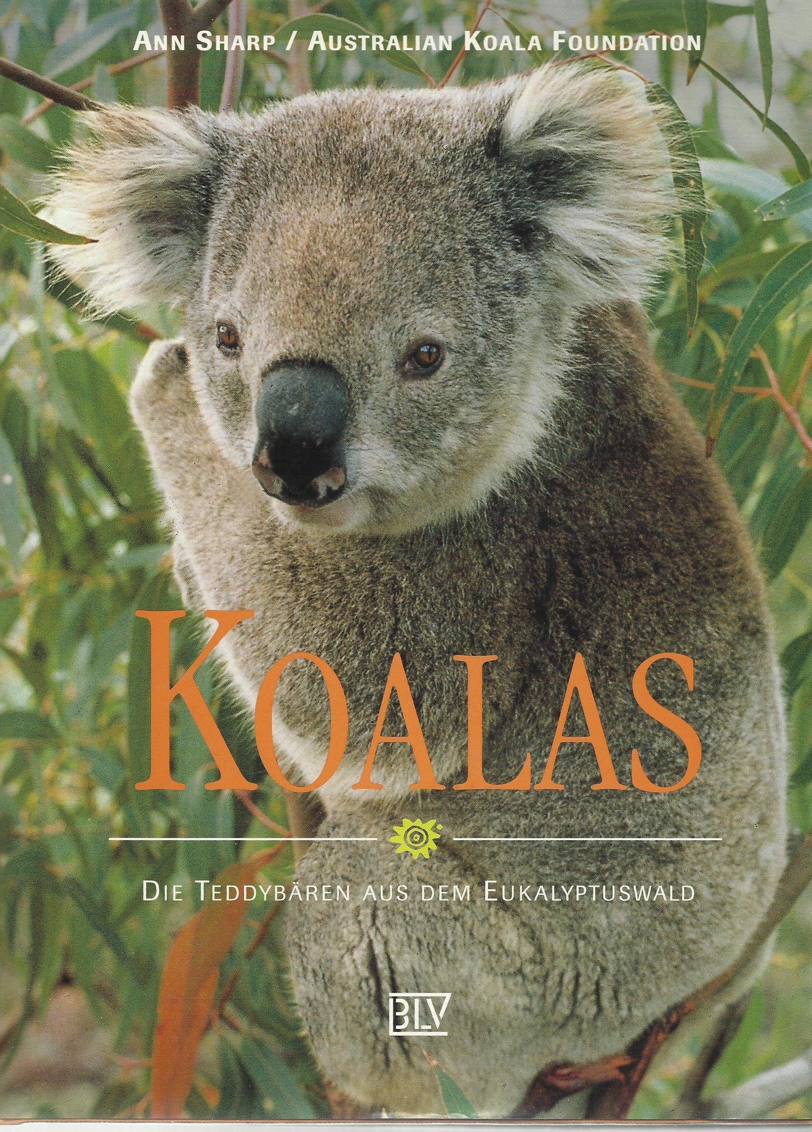 Koalas Film, Art & Culture