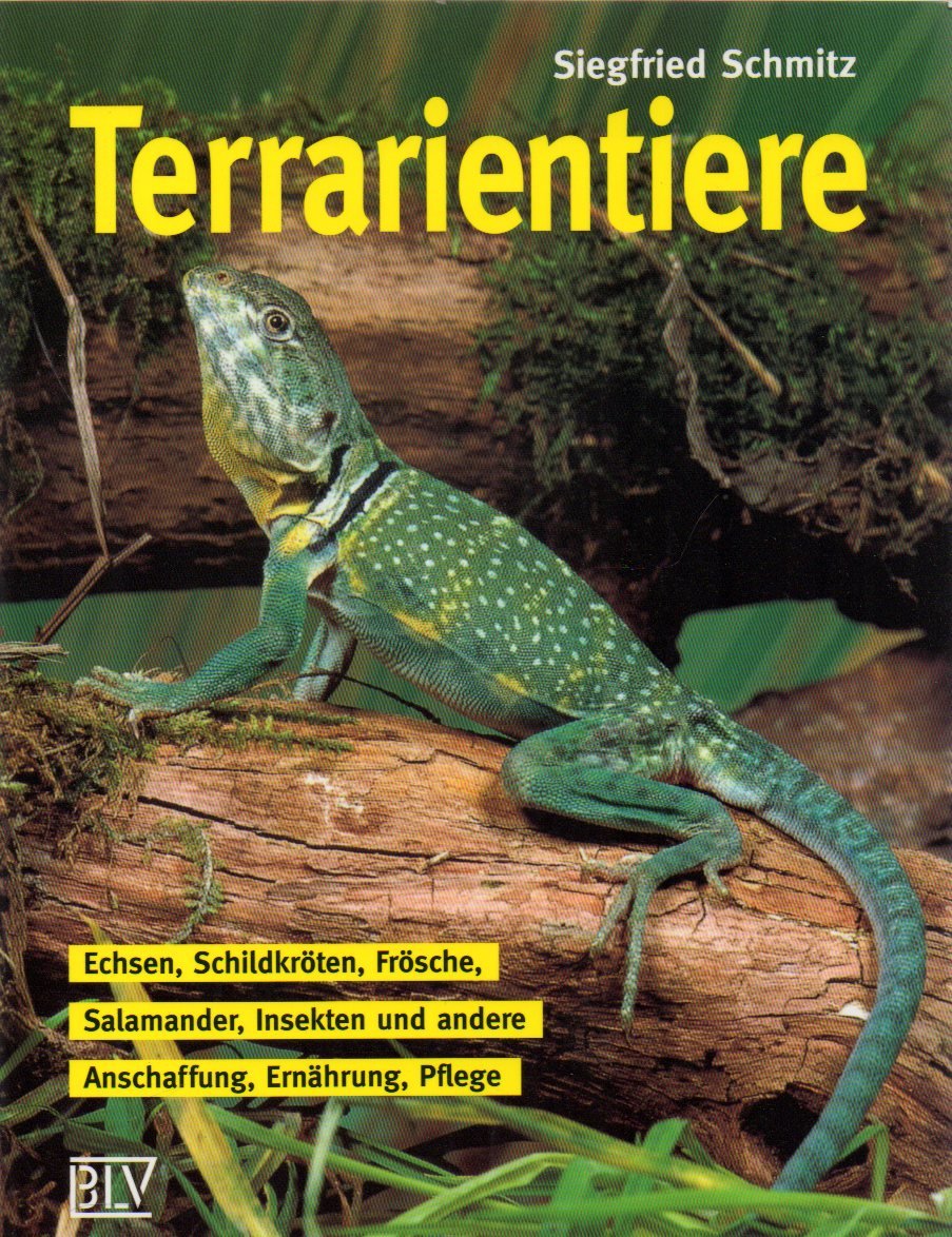 Terrarientiere Pets