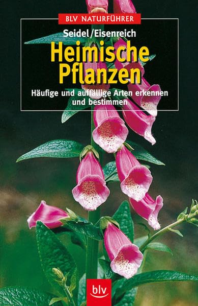 Heimische Pflanzen: Häufige und auffällige Arten erkennen und bestimmen (BLV Naturführer) Garden & Plants