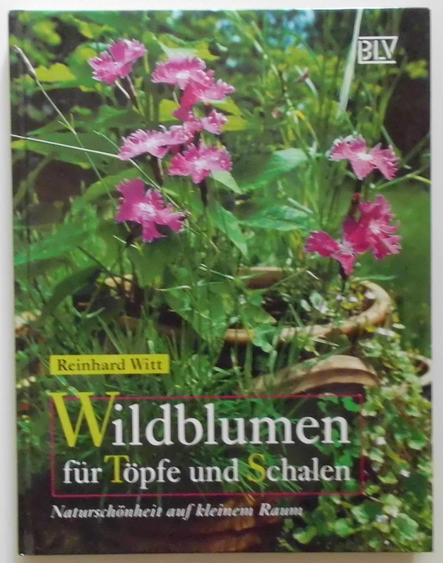Wildblumen für Töpfe und Schalen Garden & Plants