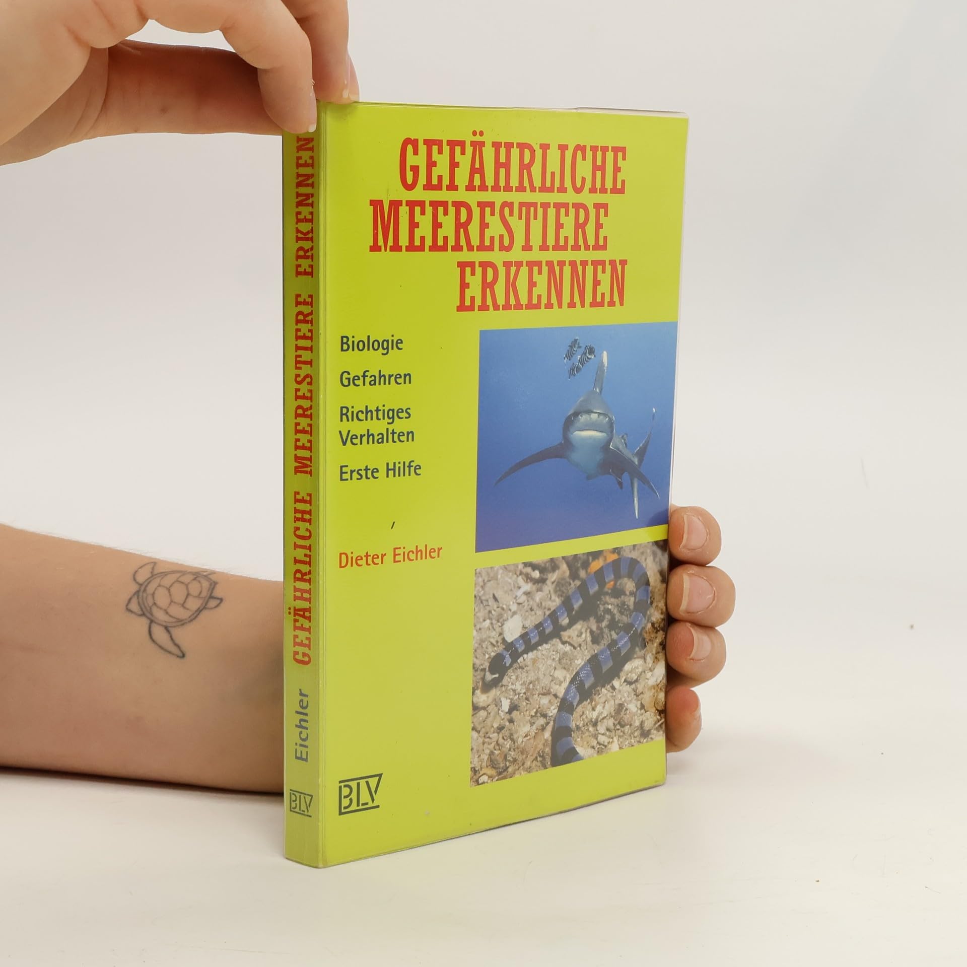 Gefährliche Meerestiere erkennen. Biologie, Gefahren, Richtiges Verhalten, Erste Hilfe Natural Sciences