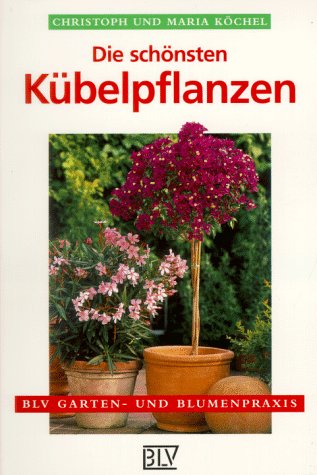 Die schönsten Kübelpflanzen Garden & Plants