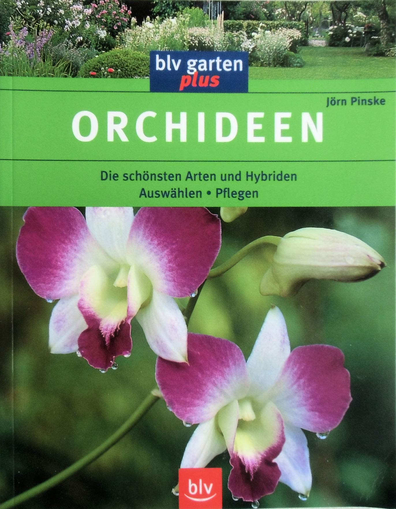 Product Image: Orchideen