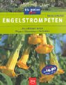 Engelstrompeten Leisure, Home & Garden