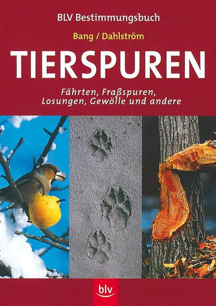 Tierspuren (BLV Bestimmungsbuch) Leisure, Home & Garden