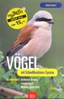 Vögel Natural Sciences