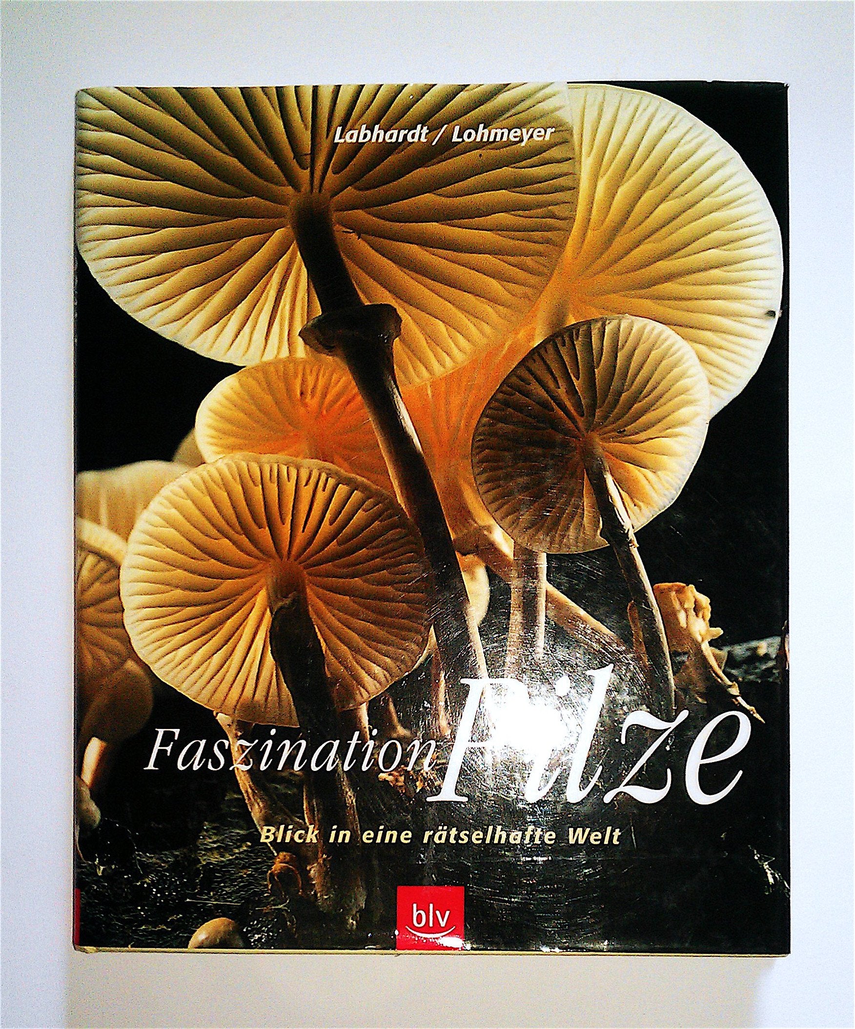 Faszination Pilze: Blick in eine rätselhafte Welt Leisure, Home & Garden