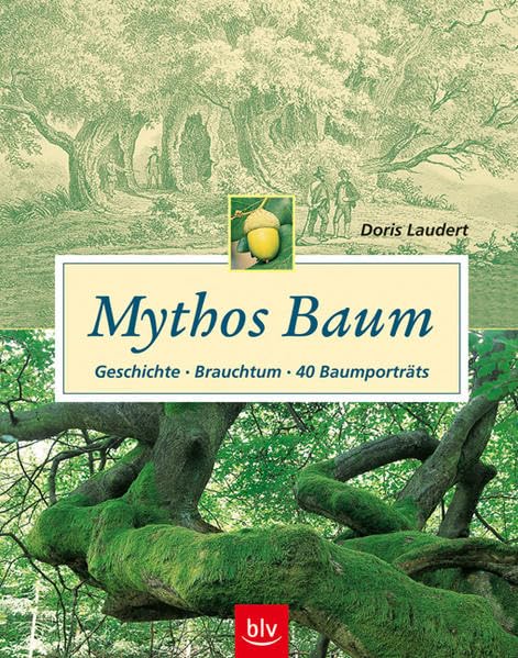 Mythos Baum: Geschichte - Brauchtum - 40 Baumporträts Garden & Plants